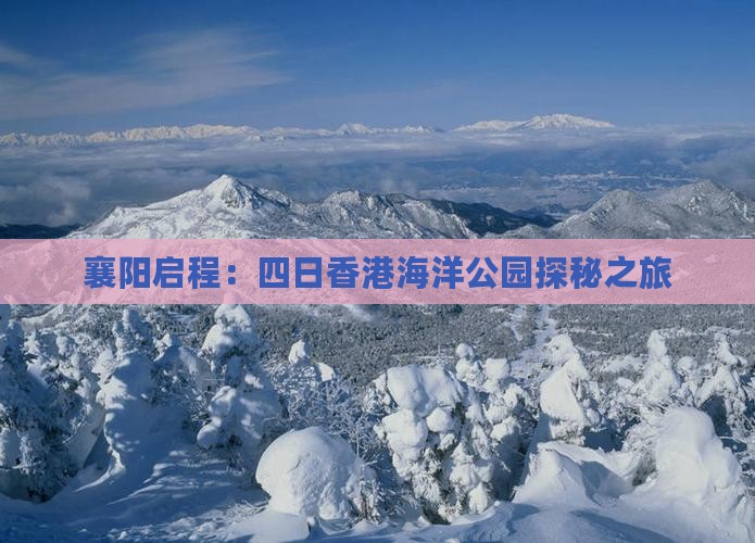 襄阳启程：四日香港海洋公园探秘之旅