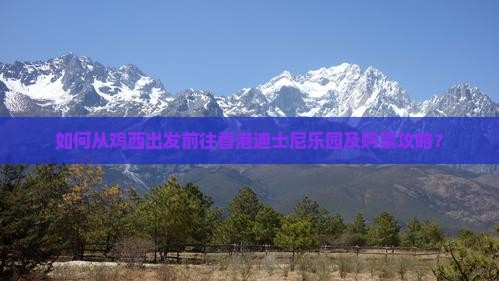 如何从鸡西出发前往香港迪士尼乐园及购票攻略？