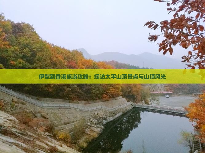 伊犁到香港旅游攻略：探访太平山顶景点与山顶风光