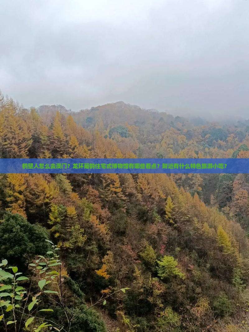 鹤壁人怎么去澳门？龙环葡韵住宅式博物馆有哪些看点？附近有什么特色旅游小吃？