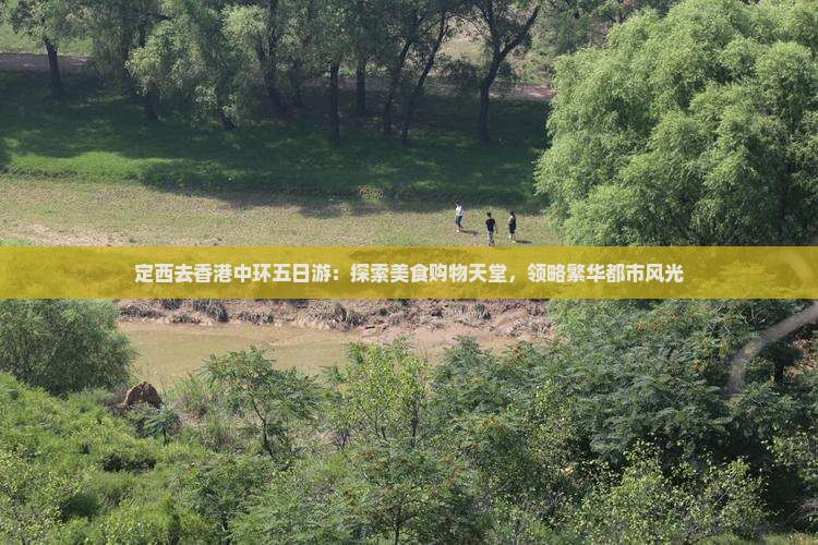 定西去香港中环五日游：探索美食购物天堂，领略繁华都市风光