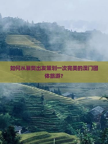 如何从襄樊出发策划一次完美的澳门团体旅游？