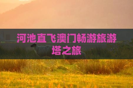 河池直飞澳门畅游旅游塔之旅