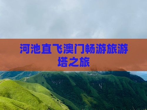 河池直飞澳门畅游旅游塔之旅