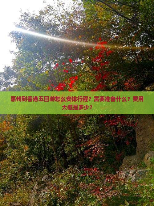 惠州到香港五日游怎么安排行程？需要准备什么？费用大概是多少？