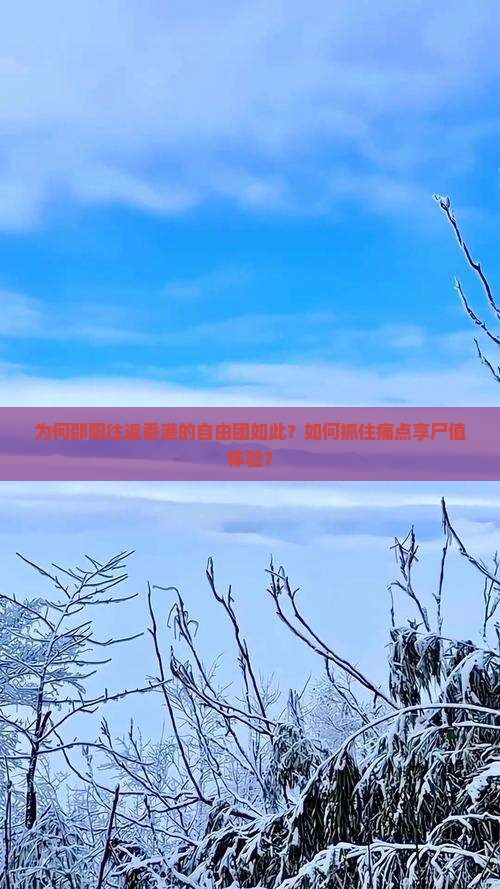 为何邵阳往返香港的自由团如此？如何抓住痛点享尸值体验？