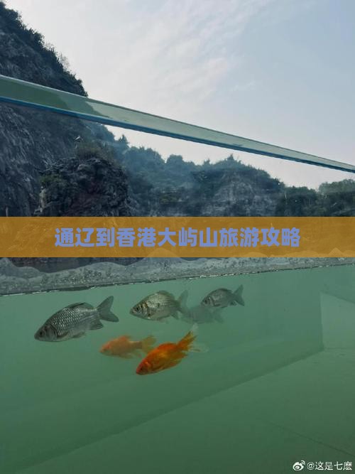 通辽到香港大屿山旅游攻略