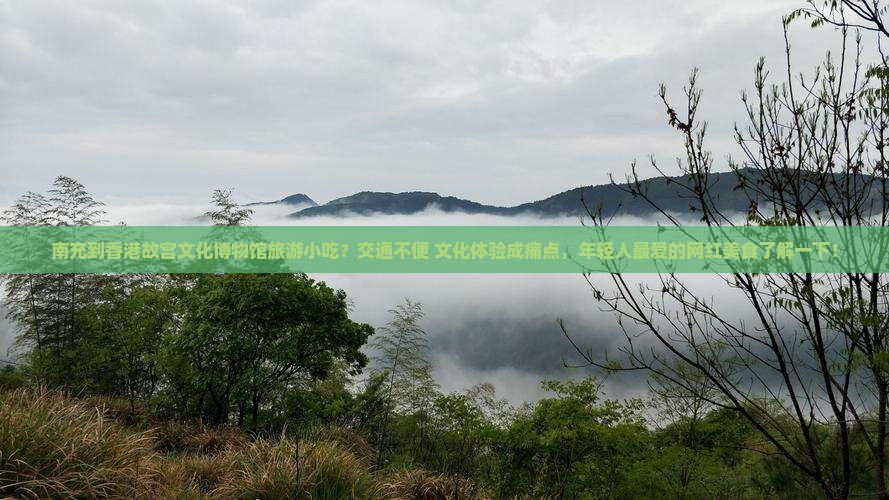 南充到香港故宫文化博物馆旅游小吃？交通不便+文化体验成痛点，年轻人最爱的网红美食了解一下！