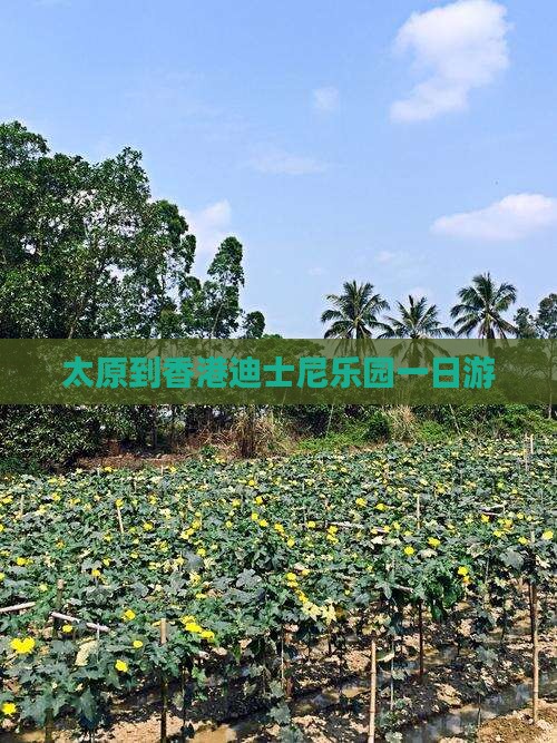太原到香港迪士尼乐园一日游