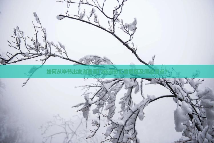 如何从毕节出发游览澳门新濠影汇度假区及周边景点？
