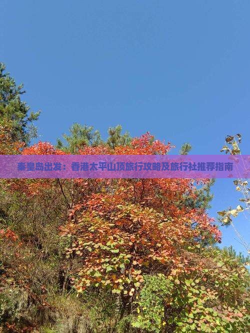 秦皇岛出发：香港太平山顶旅行攻略及旅行社推荐指南