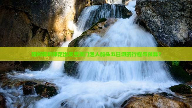 如何规划保定出发至澳门渔人码头五日游的行程与预算？