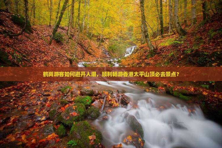 鹤岗游客如何避开人潮，顺利畅游香港太平山顶必去景点？