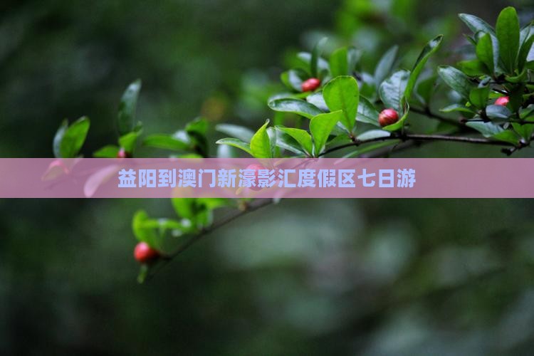 益阳到澳门新濠影汇度假区七日游