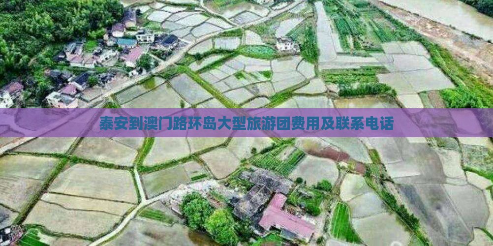 泰安到澳门路环岛大型旅游团费用及联系电话