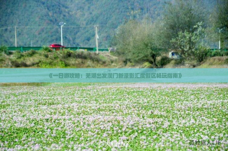 《一日游攻略：芜湖出发澳门新濠影汇度假区畅玩指南》