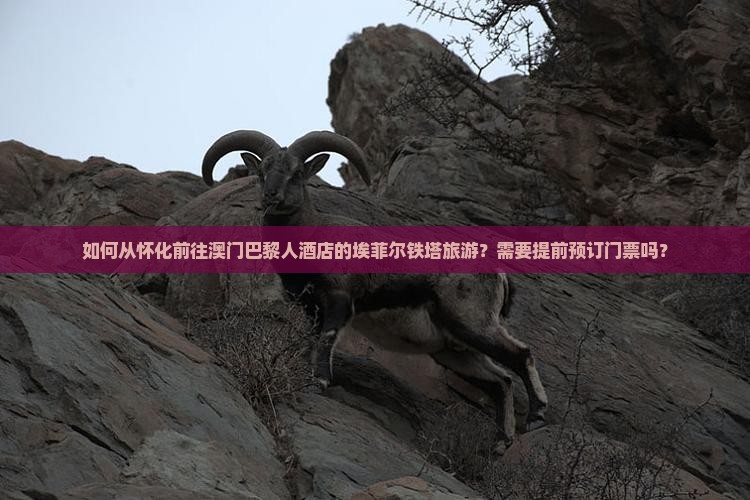 如何从怀化前往澳门巴黎人酒店的埃菲尔铁塔旅游？需要提前预订门票吗？