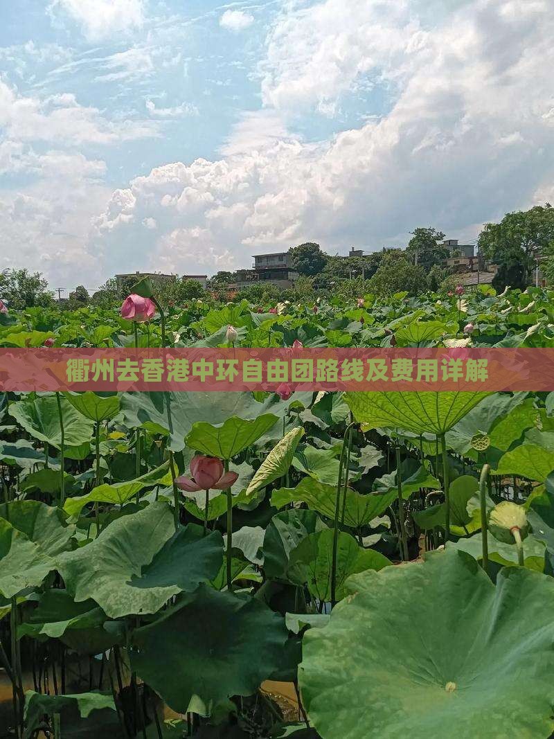 衢州去香港中环自由团路线及费用详解