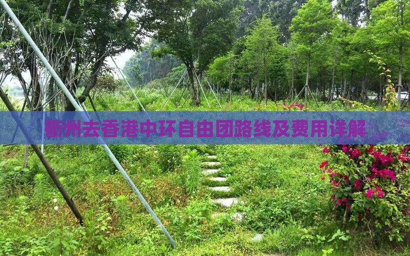 衢州去香港中环自由团路线及费用详解