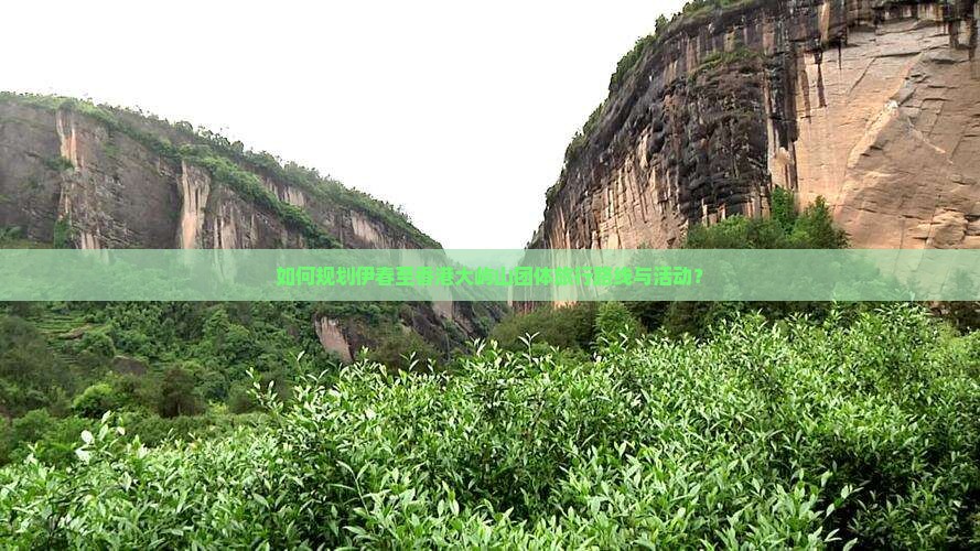 如何规划伊春至香港大屿山团体旅行路线与活动？