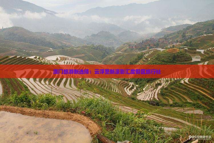 澳门旅游新选择：云浮至新濠影汇度假区旅行社