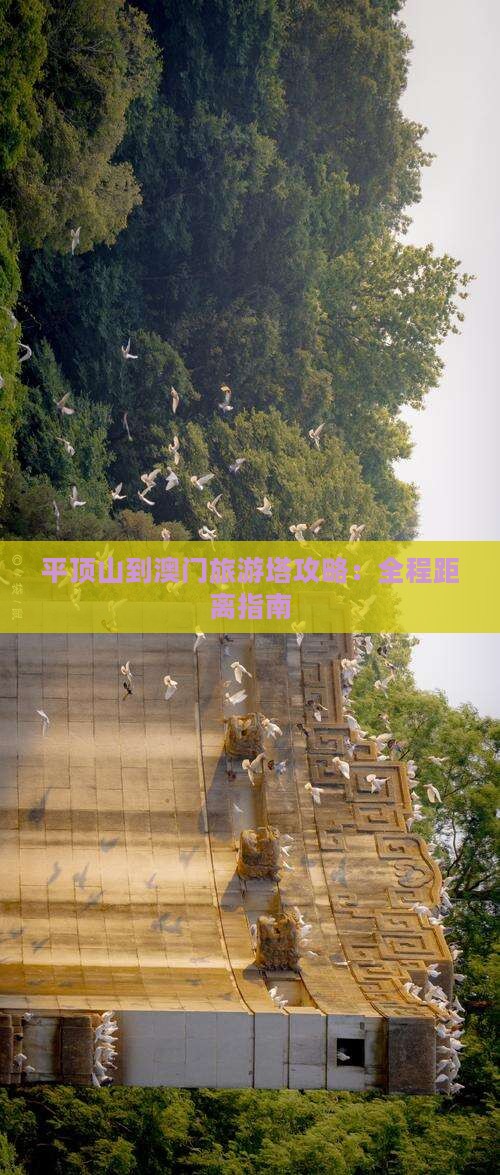 平顶山到澳门旅游塔攻略：全程距离指南