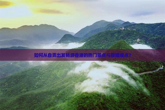 如何从自贡出发畅游香港的热门景点与隐藏痛点？