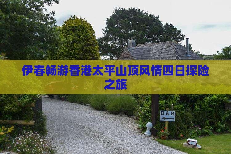 伊春畅游香港太平山顶风情四日探险之旅