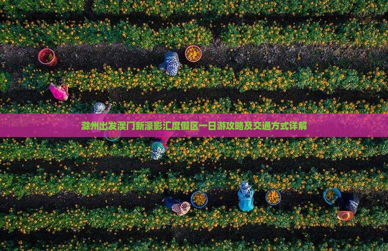 滁州出发澳门新濠影汇度假区一日游攻略及交通方式详解