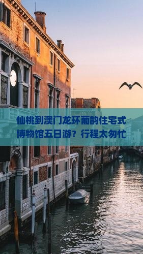 仙桃到澳门龙环葡韵住宅式博物馆五日游？行程太匆忙，怎么办？加入露营和飞盘元素更有趣！