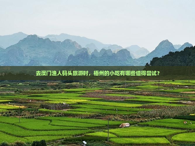 去澳门渔人码头旅游时，梧州的小吃有哪些值得尝试？