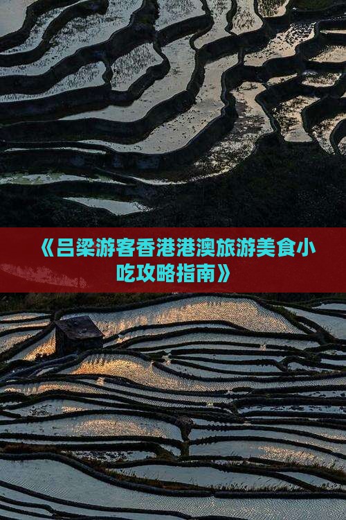 《吕梁游客香港港澳旅游美食小吃攻略指南》