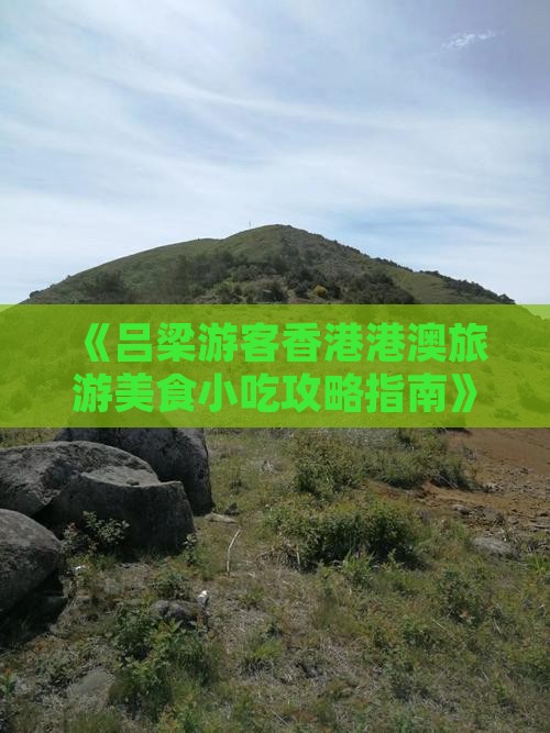 《吕梁游客香港港澳旅游美食小吃攻略指南》