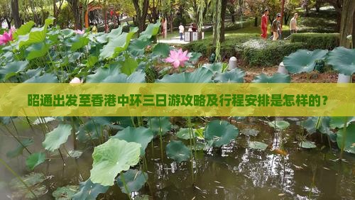 昭通出发至香港中环三日游攻略及行程安排是怎样的？