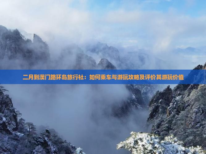 二月到澳门路环岛旅行社：如何乘车与游玩攻略及评价其游玩价值