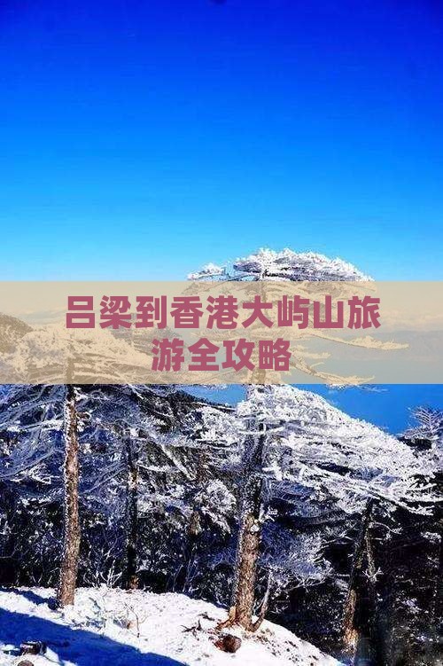 吕梁到香港大屿山旅游全攻略