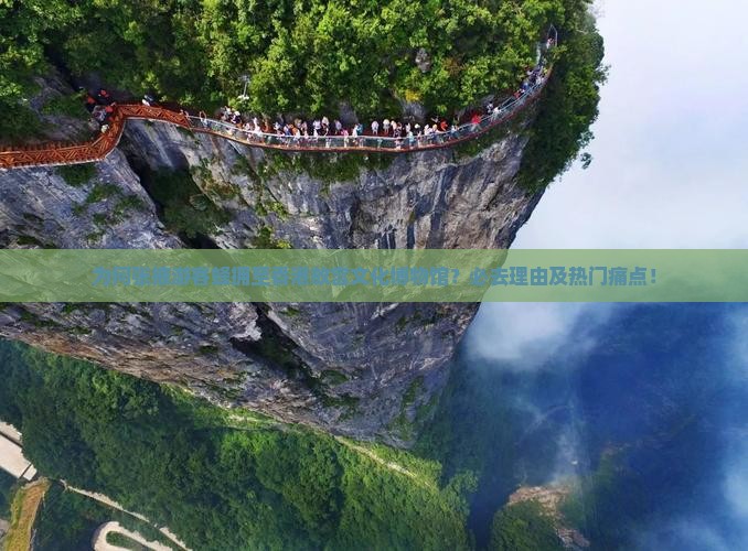 为何张掖游客蜂拥至香港故宫文化博物馆？必去理由及热门痛点！