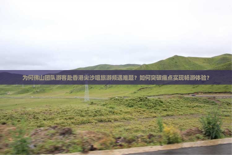 为何佛山团队游客赴香港尖沙咀旅游频遇难题？如何突破痛点实现畅游体验？