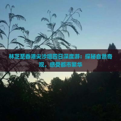 林芝至香港尖沙咀四日深度游:探秘自然奇观,感受都市繁华 林芝至香港尖沙咀四日深度游:探秘自然奇观,感受都市繁华