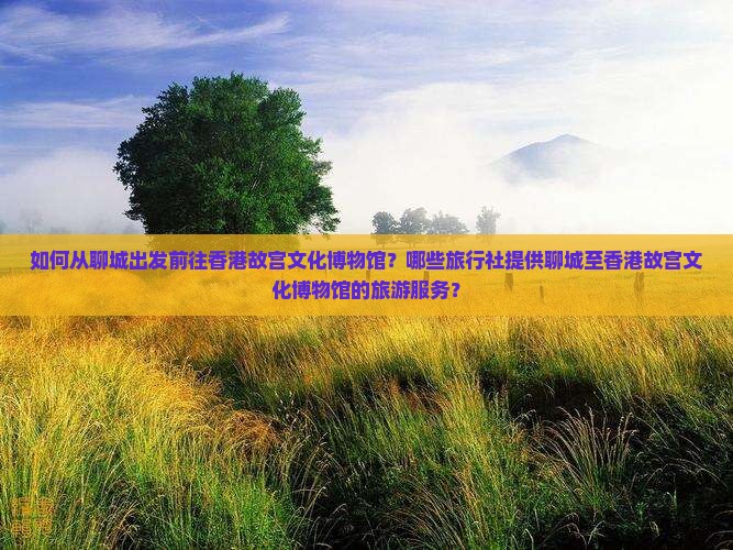 如何从聊城出发前往香港故宫文化博物馆?哪些旅行社提供聊城至香港故宫文化博物馆的旅游服务? 如何从聊城出发前往香港故宫文化博物馆?哪些旅行社提供聊城至香港故宫文化博物馆的旅游服务?