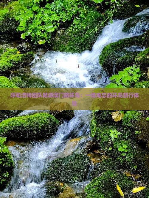 呼和浩特团队畅游澳门路环岛：一场难忘的环岛旅行体验