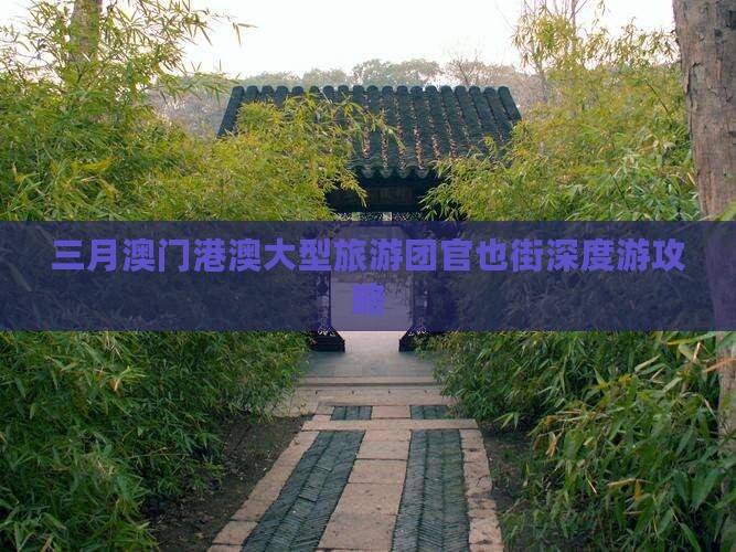 三月澳门港澳大型旅游团官也街深度游攻略