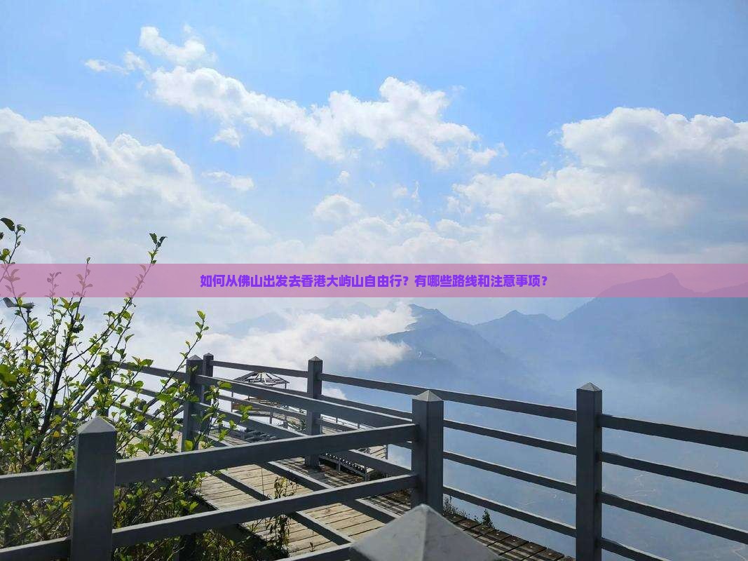 如何从佛山出发去香港大屿山自由行？有哪些路线和注意事项？