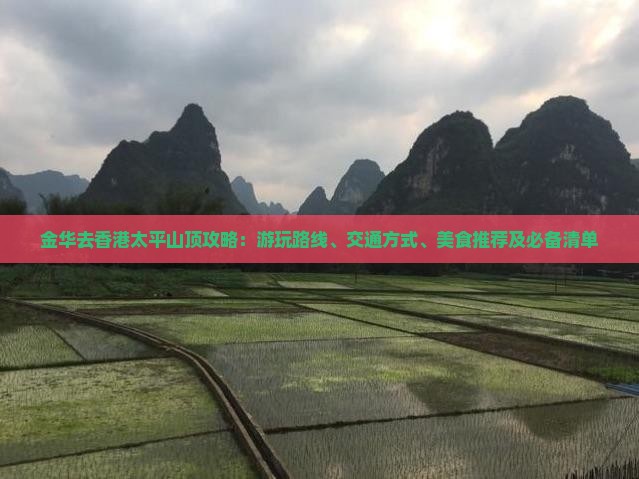 金华去香港太平山顶攻略：游玩路线、交通方式、美食推荐及必备清单