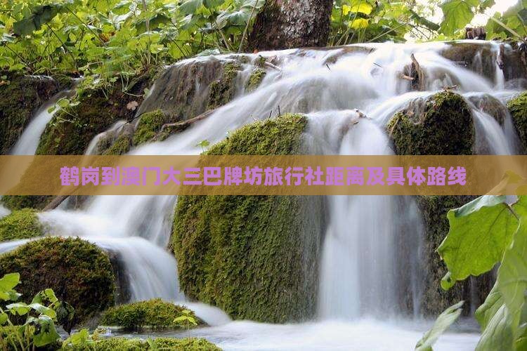 鹤岗到澳门大三巴牌坊旅行社距离及具体路线