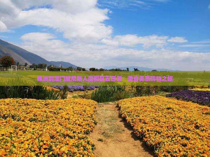 株洲到澳门威尼斯人度假区五日游：美食美景购物之旅