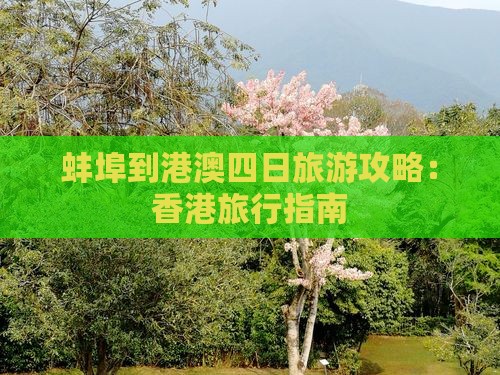 蚌埠到港澳四日旅游攻略：香港旅行指南