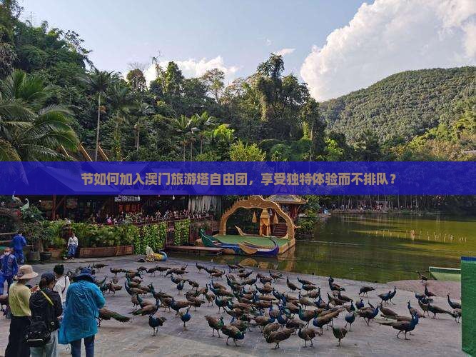 节如何加入澳门旅游塔自由团，享受独特体验而不排队？