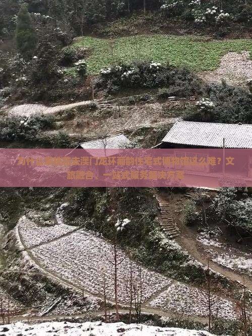 为什么攀枝花去澳门龙环葡韵住宅式博物馆这么难？文旅融合、一站式服务解决方案