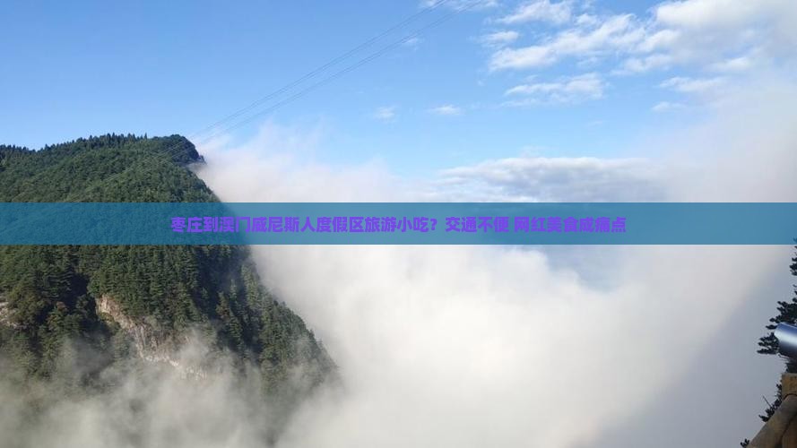 枣庄到澳门威尼斯人度假区旅游小吃？交通不便+网红美食成痛点